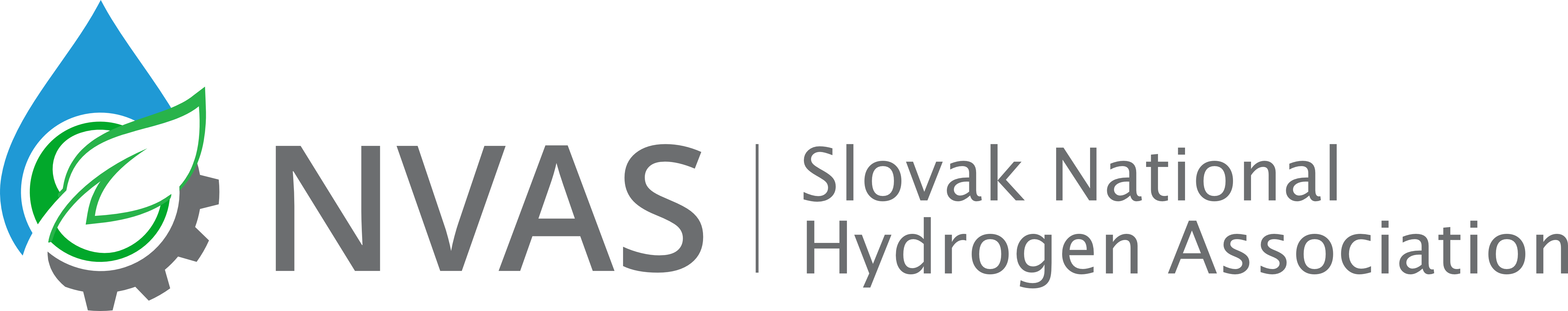 NVAS logo