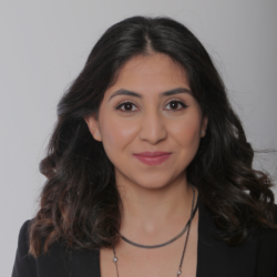 Arfa Karani Speaker at Clean Power 2030 Summit Arfa Karani Speaker at Clean Power 2030 Summit